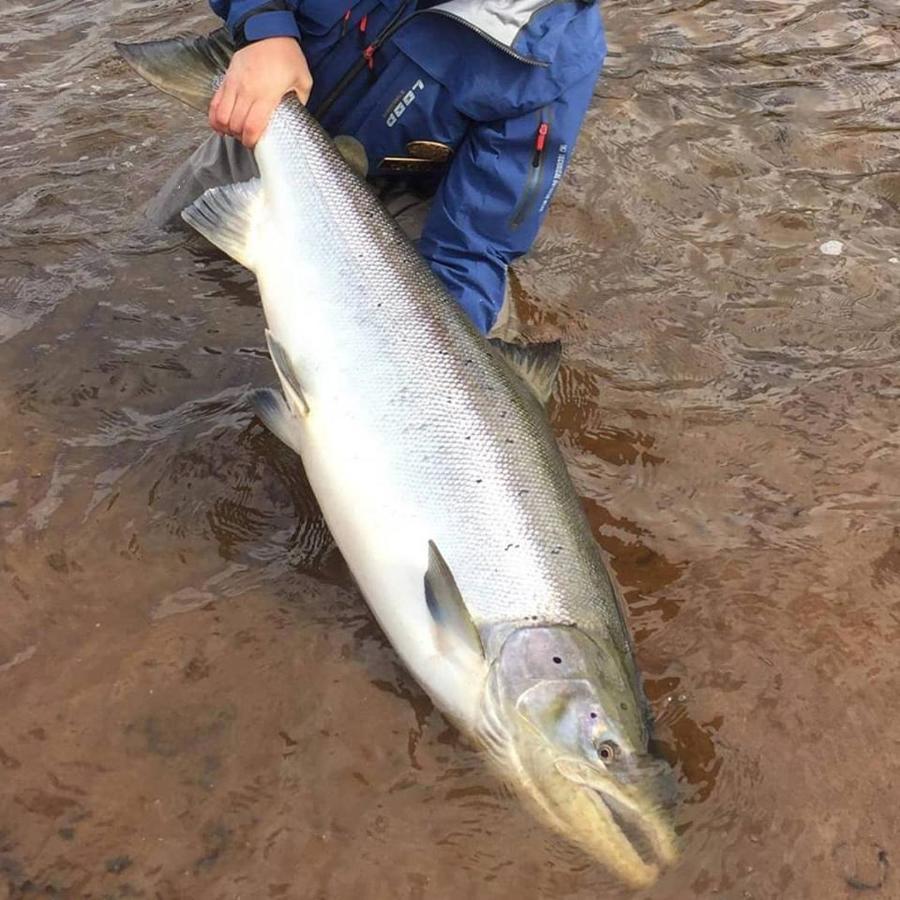 Jockfall Fishing And Activities - Oeverkalix Екстериор снимка